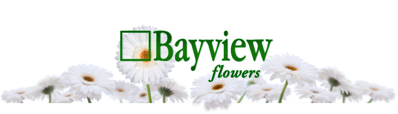 Bayview Flowers 